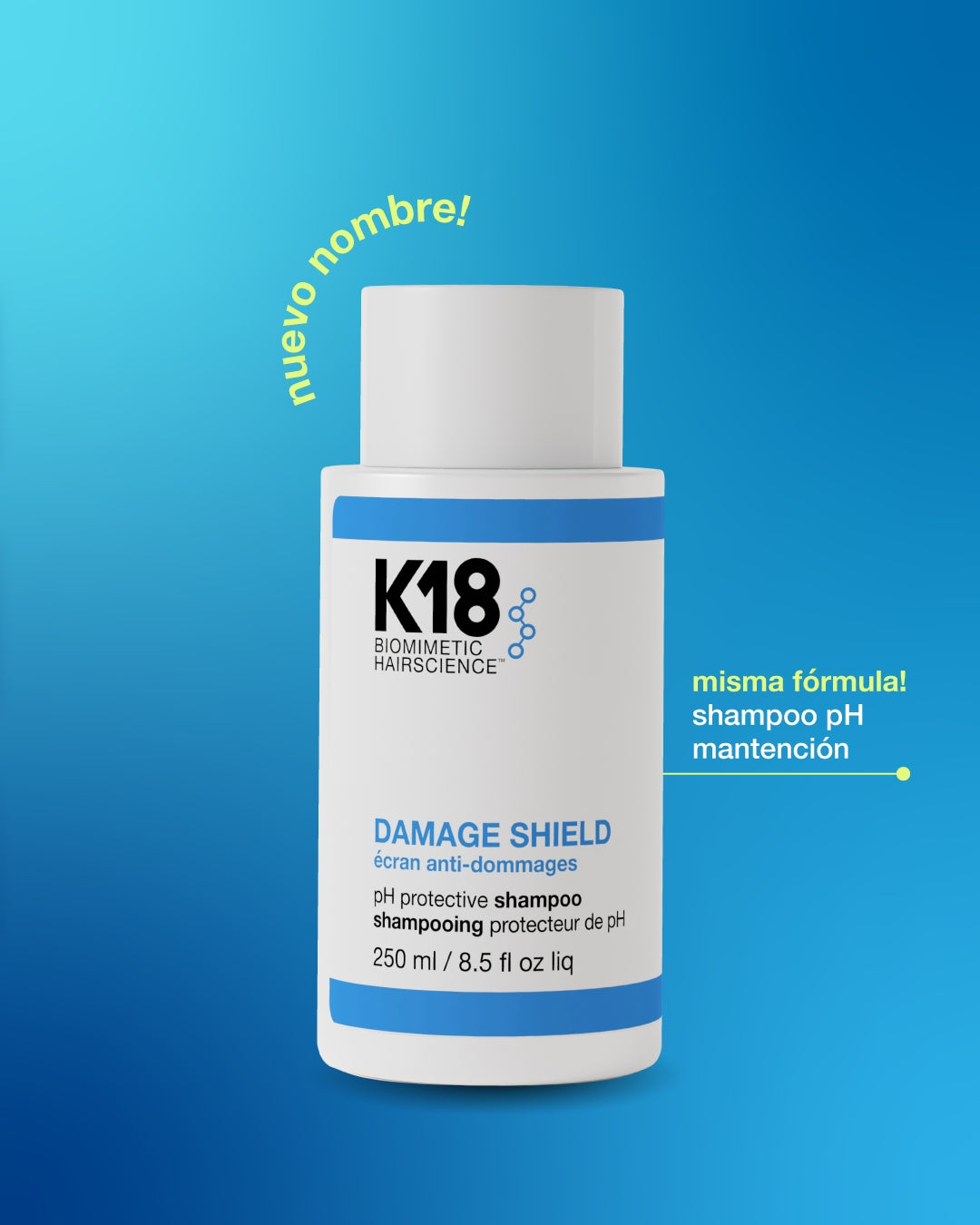 Shampoo Protector de pH Damage Shield 250mL