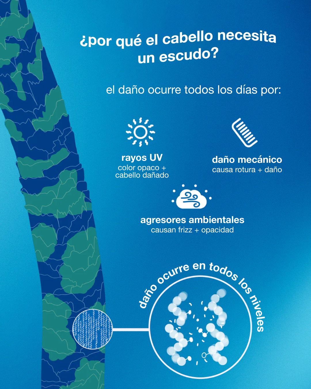 Acondicionador protector de daño DAMAGE SHIELD 250mL